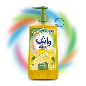 Hand Wash Liquid Detergent with Assorted Fragrances 2