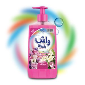 Hand Wash Liquid Detergent with Assorted Fragrances 3